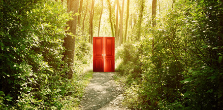 Blog reddoor